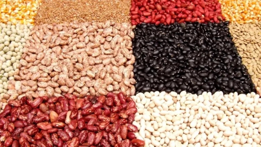 انواع حبوبات و خواص آنها انواع حبوبات و خواص آنها